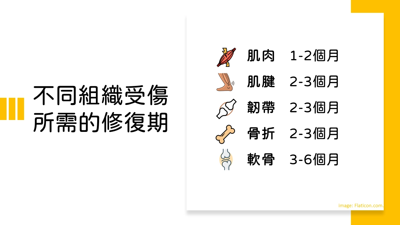 修復性治療有那些呢? 修復性治療有那些呢?